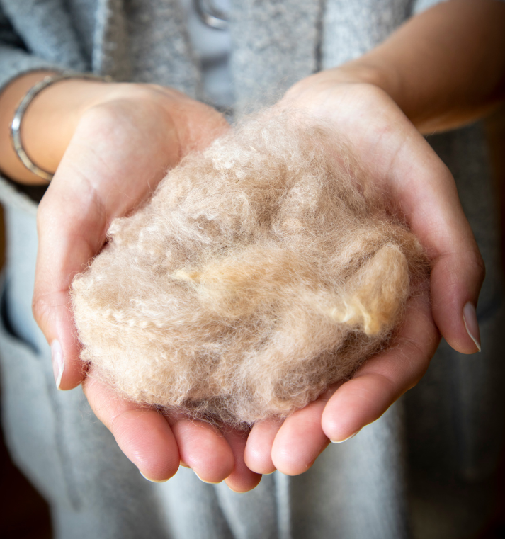 Woman cupping a handful of wool fiber.