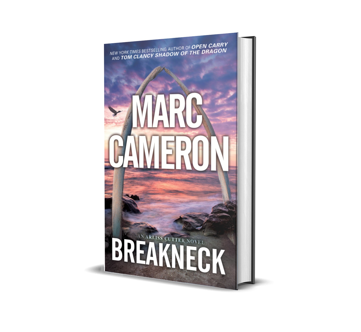 Breakneck Book Cover
