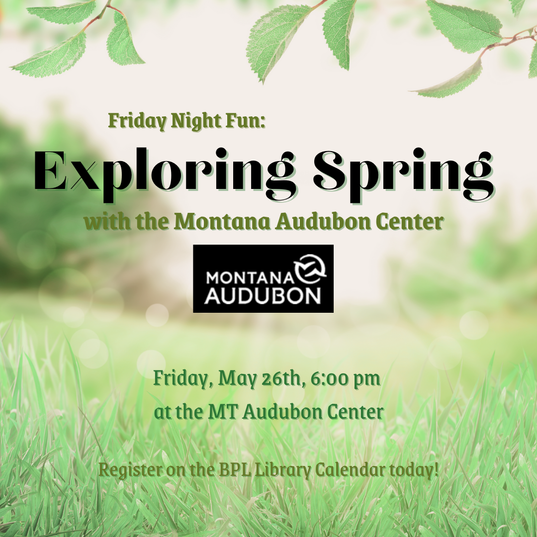 Friday Night Fun - Exploring Spring 