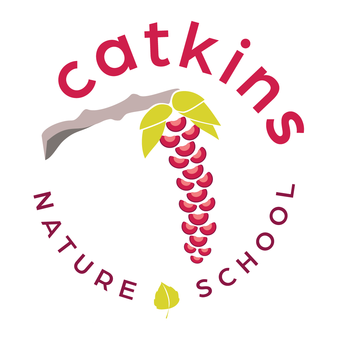 Catkins Nature School