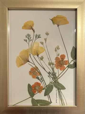 pressed flowers in frame