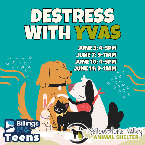Destress with YVAS