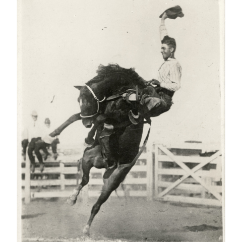 Smoky Branch on Glas Eye