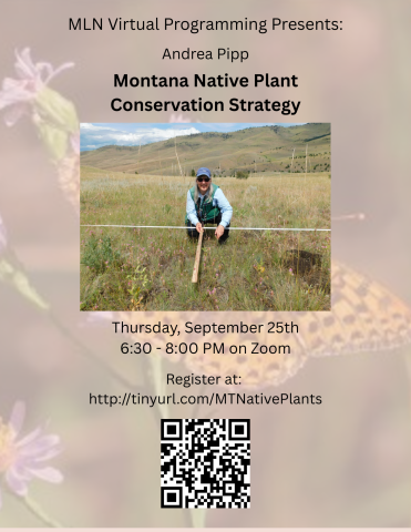 Andrea Pipp, Montana Native Plants