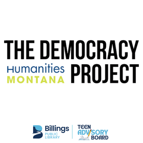 democracy project