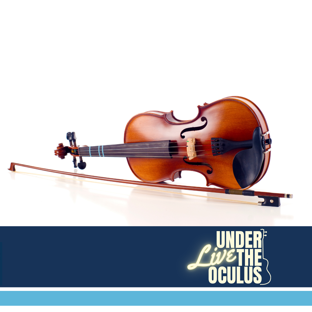 violin instrument