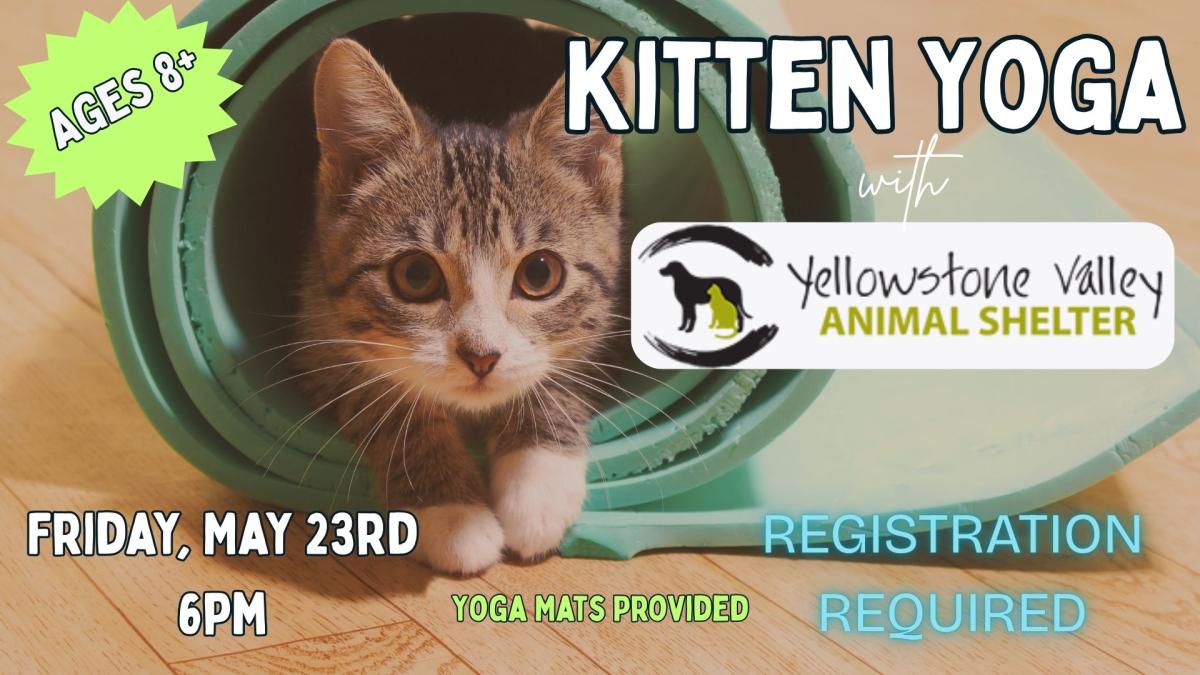 kitten in a yoga mat