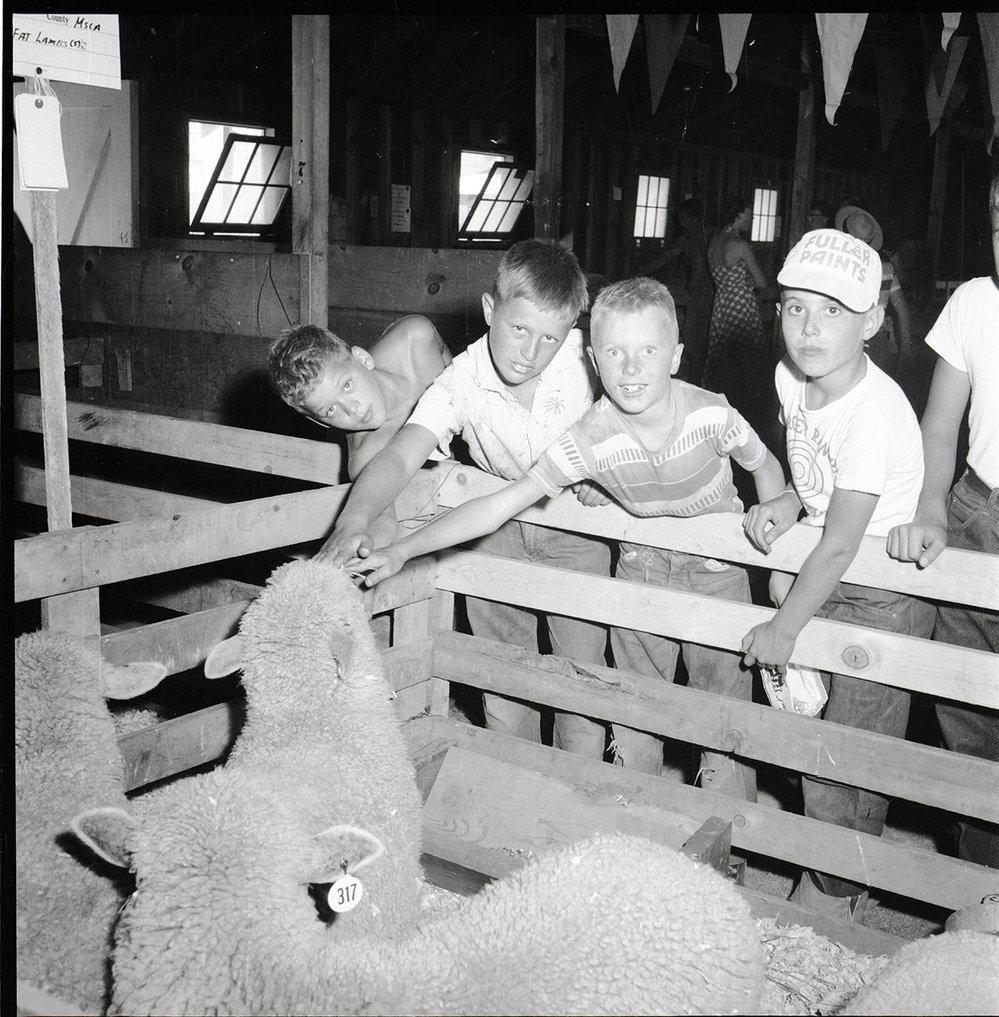 Kids at the Missoula County Fair